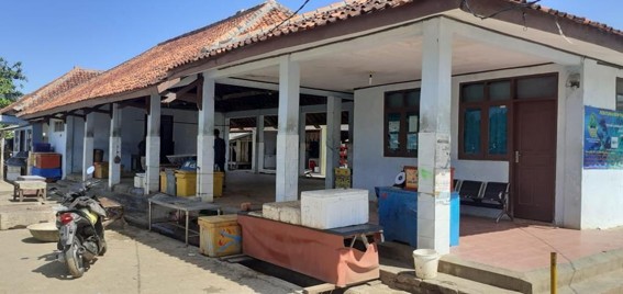 Pasar Ikan Ciwaru - Berbagai Jenis Ikan